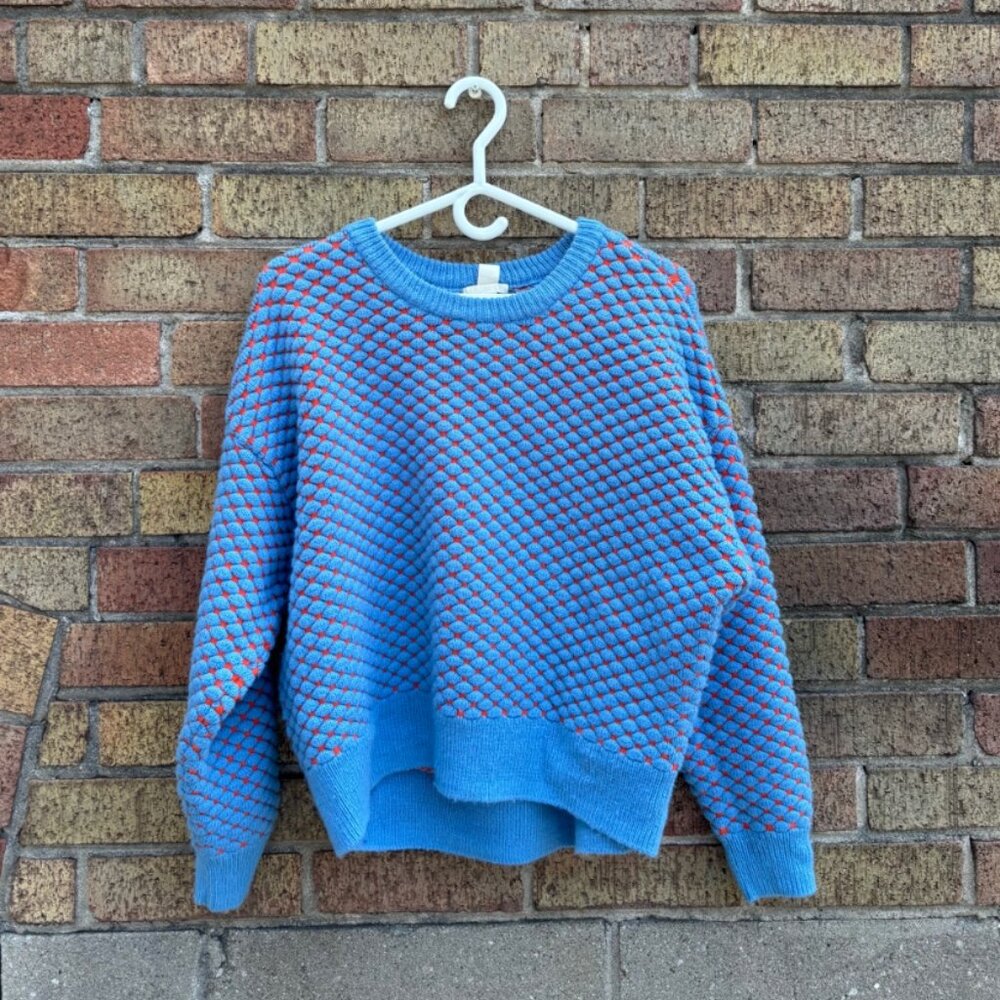 Blue & Red Textured Knit Sweater